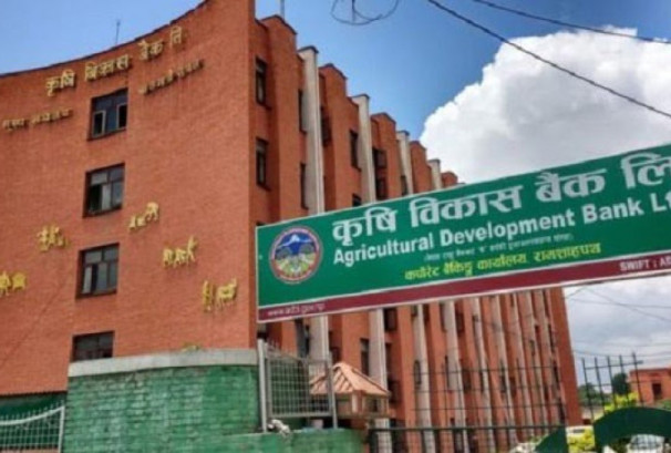 कृषि विकास बैंकको नाफामा २९% को संकुचन, लाभांश क्षमता समेत घट्यो