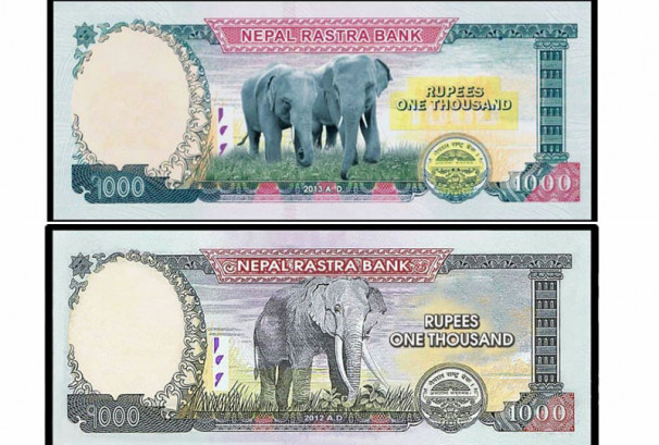 नक्कली नोटको बिगबिगी : औपचारिक अर्थतन्त्रमा गम्भीर प्रभाव, चुनावको मुखमा संगठित गिरोह सक्रिय