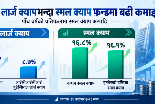 लार्ज क्यापभन्दा स्मल क्याप फन्डमा बढी कमाइ,पाँच वर्षमा १६ प्रतिशतसम्म रिटर्न
