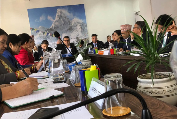 सेयर बजारमा ‘पम्प एन्ड डम्प’देखि कर्नरिङसम्म रोक्न अर्थ समितिको निर्देशन