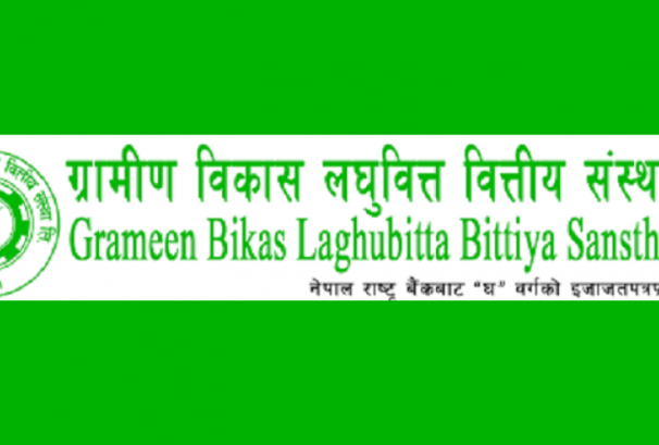 ग्रामीण विकास लघुवित्तले डाक्यो साधारण सभा, मर्जरको प्रस्ताव पारित गरिने