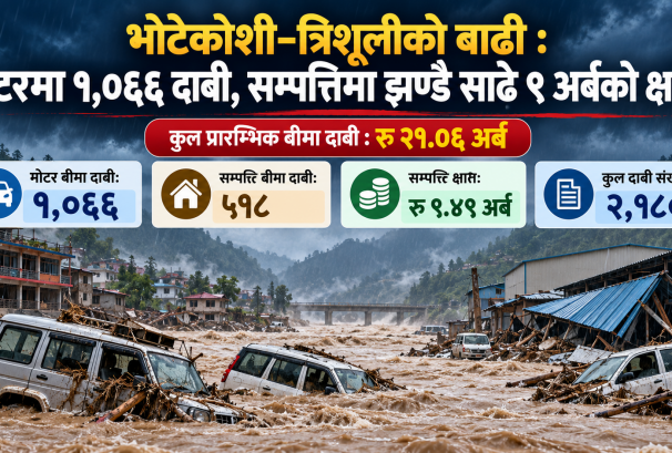 भोटेकोशी–त्रिशूलीको बाढी : मोटरमा १,०६६ दाबी, सम्पत्तिमा झण्डै साढे ९ अर्बको क्षति !