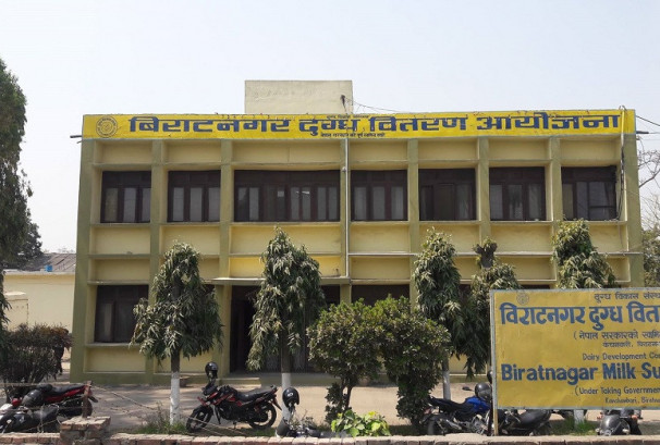विराटनगर दुग्ध वितरण आयोजनामा दही–घ्यूको मागले आम्दानी बढायो, किसानको ९ करोड भुक्तानी भने अझै रोकियो