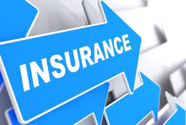 २२ बीमा कम्पनीको सेयरभाउ बढ्यो, सर्वाधिक कमाउनेमा युनाइटेड अजोड