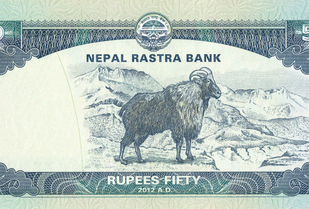 रु. ५० दरका ४२ करोड नोट छाप्ने जिम्मा चिनियाँ कम्पनीलाई,राष्ट्रबैंकले गर्‍यो सम्झौता