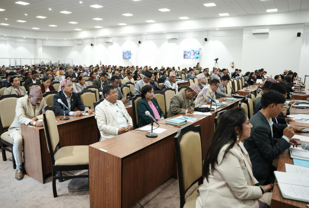 अभौतिक सांस्कृतिक सम्पदा संरक्षण विधेयकमा १७ सांसदका संशोधन