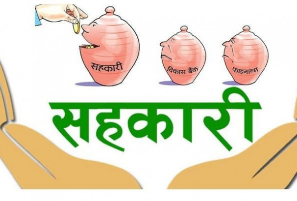 ऋण असुलीबाट बचत फिर्ता तिव्र, समस्याग्रस्तका ४ सहकारीका १०५  जनाले पाए रकम