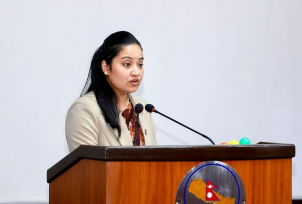 संघीय निजामती सेवा विधेयक संसदमा दर्ता, ऐन बन्न अर्को अधिवेशन कुर्नुपर्ने