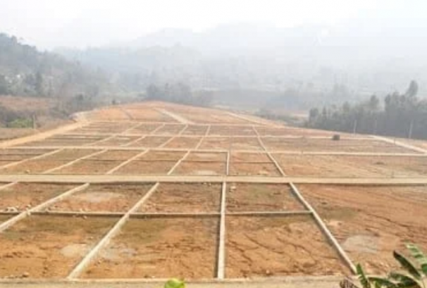 लालीगुराँस र गौतम श्री सहकारीको जग्गा लिलाममा
