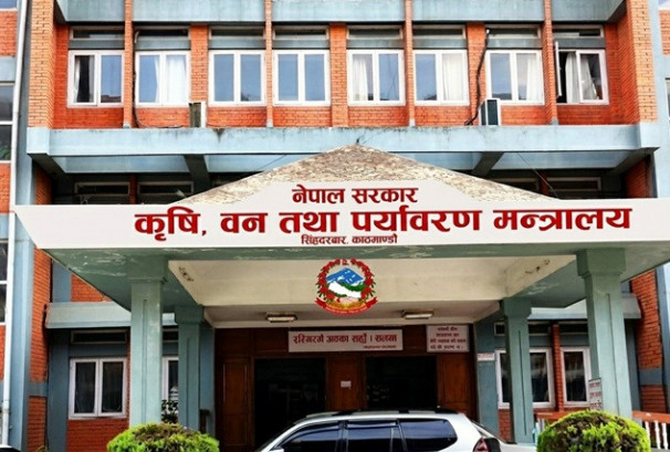 रासायनिक मलमा कालोबजारी नियन्त्रण गर्न कृषि मन्त्रालयद्वारा हटलाइन नम्बर सञ्चालन