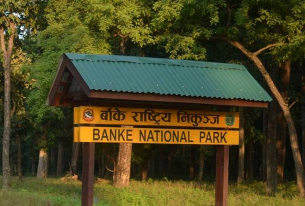 बाँके राष्ट्रिय निकुञ्जमा टाइम कार्डको समय घटाइयो, यात्रुलाई सात मिनेटसम्म समय बचत हुने