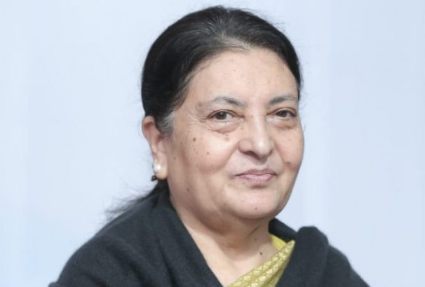 लोकतन्त्र र संविधानको रक्षा गर्न पार्टी राजनीतिमा फर्किएको भण्डारीको भनाइ