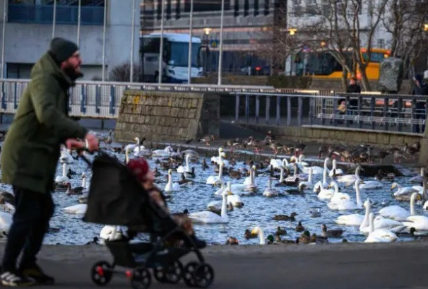 यी हुन् बस्नयोग्य विश्वका उत्कृष्ट ५ देश