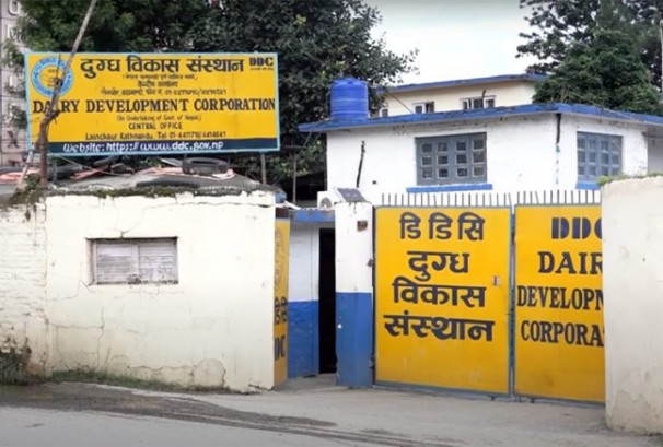 सरकारी दुग्ध संस्थानमा करोडौँको अनियमितता आशंका, पूर्वमहाप्रबन्धकसहित आठमाथि अनुसन्धान
