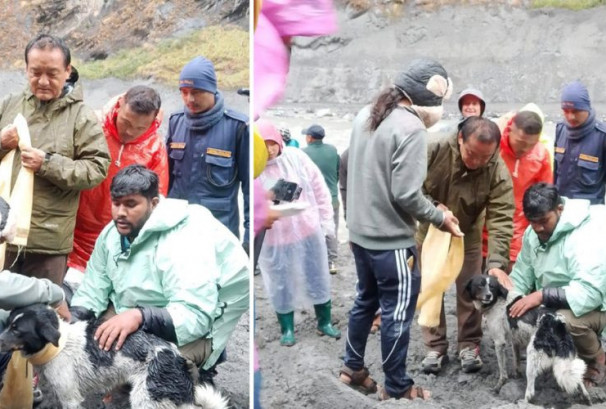 बूढीगण्डकी बाढीमा २० दिनदेखि फसेको कुकुरको उद्धार