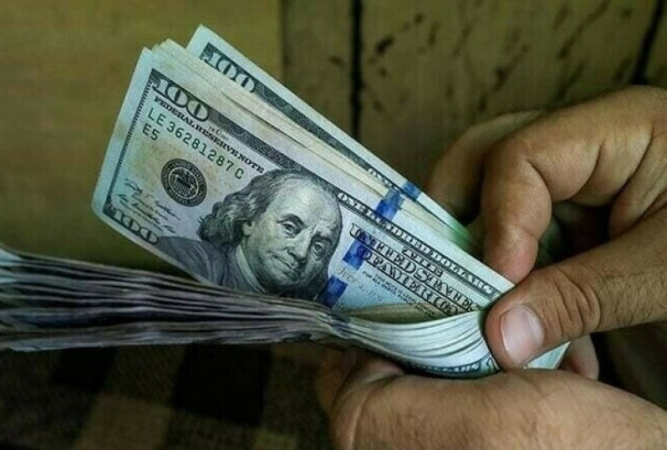 डलरको भाउ एक साताकै उच्च