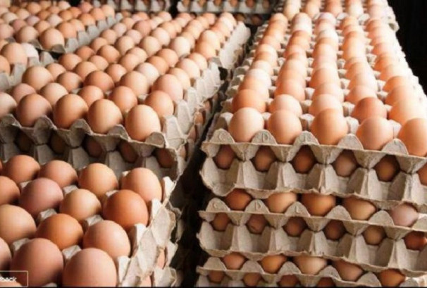 मागसँगै बढ्यो अण्डाको मूल्य