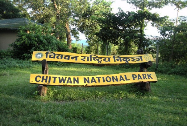 चितवन राष्ट्रिय निकुञ्जभित्रको जङ्गल सफारी सेवा आजदेखि बन्द