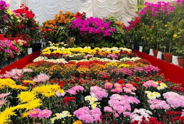ललितपुरमा ५ दिने गोदावरी फूल महामेला सुरु, १ करोड ३० लाखको कारोबार लक्ष्य