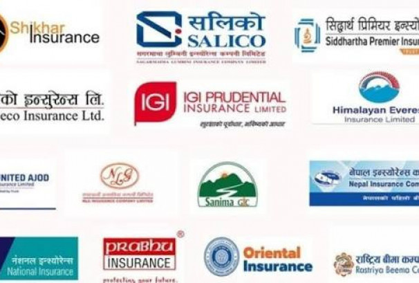 निर्जीवन बीमा कम्पनीको संचित नाफामा ठूलो गिरावट, लाभांश क्षमता घट्दै