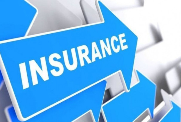 ७ बीमा कम्पनीको मात्रै सेयरभाउ बढ्यो, सर्वाधिक गुमाउनेमा नेशनल लाइफ इन्स्योरेन्स