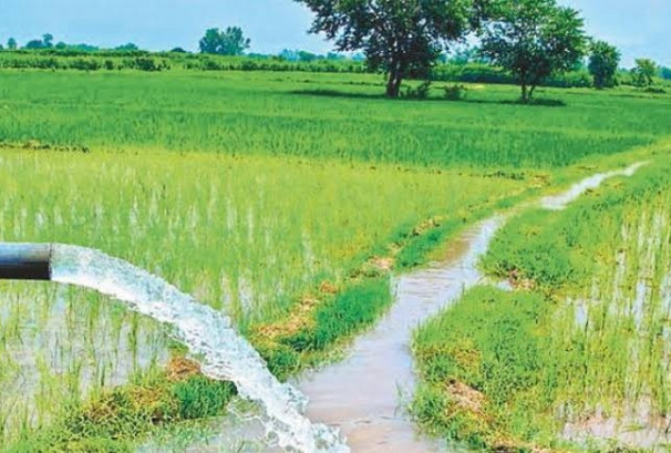 देशभर सिँचाइ विस्तार सुस्त, किसान अझै वर्षामै निर्भर