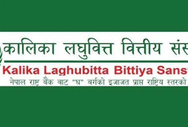 कालिका लघुवित्तको नाफा १३४% ले बढ्यो, वितरणयोग्य मुनाफा र ईपीएस कति ?