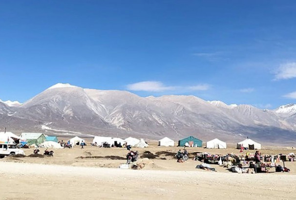 कोरलानाकाबाट ११ दिनमै ५४३ टन चिनियाँ फलफूल आयात