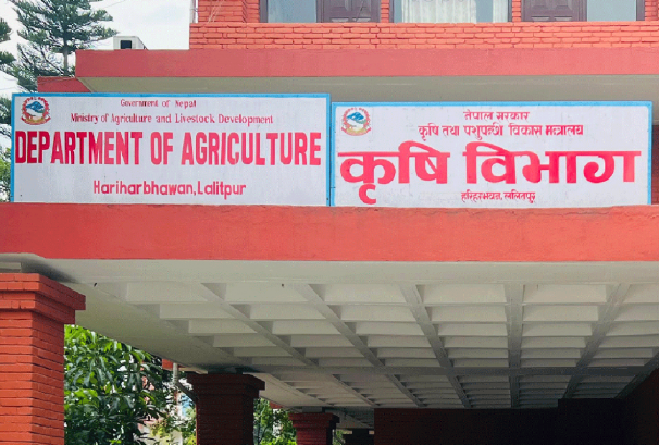 गुणस्तरीय बीउमा किसानको पहुँच बढाउन ५८ स्थानीय तहमा बीउ उत्पादन कार्यक्रम
