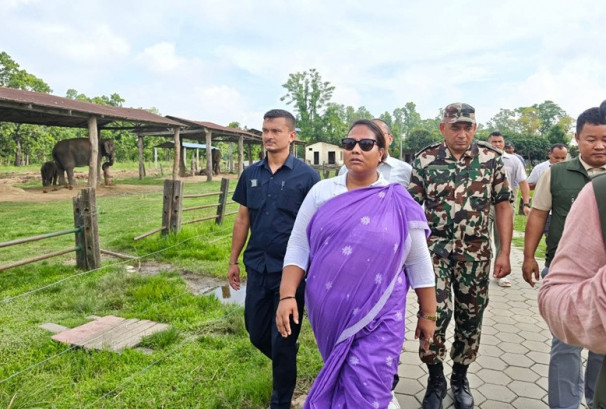 हात्ती प्रजनन केन्द्रको निरीक्षण गर्दै मन्त्री चौधरीद्वारा सुधार र विकासमा जोड