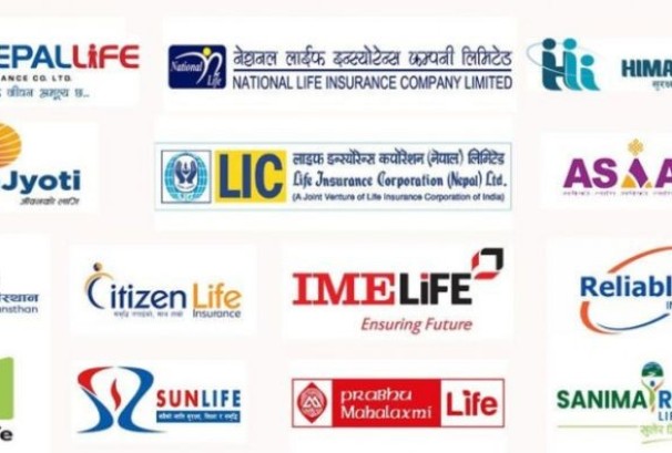 नयाँ व्यवसाय बढाउन नेशनल र नेपाल लाइफ खप्पिस, ७ वटा कम्पनीको खस्कियो प्रथम बीमा शुल्क आर्जन
