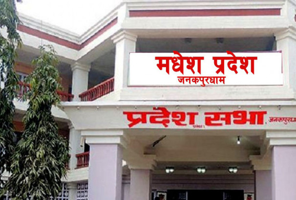 मधेसमा झन्डै ९ अर्ब सहुलियतपूर्ण कृषि कर्जा, कृषि क्षेत्रमै ५९ अर्बभन्दा बढी कर्जा प्रवाह