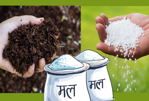 भारतभन्दा नेपालले एउटै मलमा किन तिरिरहेको छ झण्डै ३६० डलर बढी ? खरिद प्रक्रियामाथि गम्भीर प्रश्न