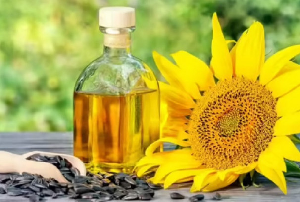 रुस बन्यो भारतको सबैभन्दा ठूलो सूर्यमुखी तेल आपूर्तिकर्ता, ४ वर्षमा १२ गुणाले वृद्धि