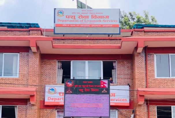 बर्डफ्लु प्रभावित किसानलाई एक साताभित्र रु.५२ करोड क्षतिपूर्ति उपलब्ध गराउने तयारी