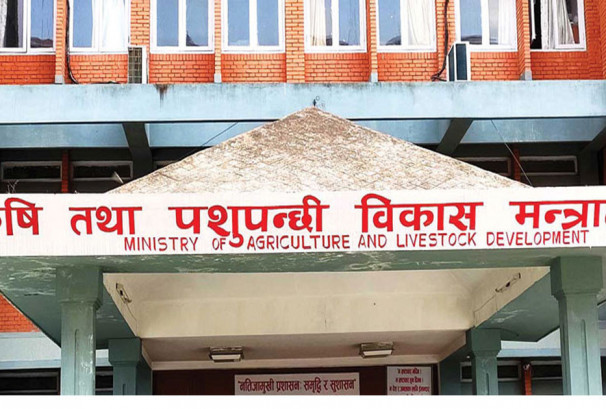 लक्ष्यको ९४ प्रतिशत रासायनिक मल आपूर्ति, गोदाममा अझै ९२ हजार टन मौज्दात