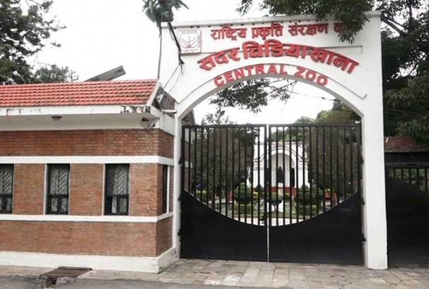 सदर चिडियाखाना अनिश्चित कालका लागि बन्द