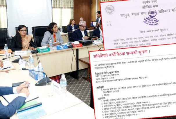 एउटै मुद्दामा दुई संसदीय समिति सक्रिय, बाल सुधार गृहबारे छुट्टाछुट्टै छलफल