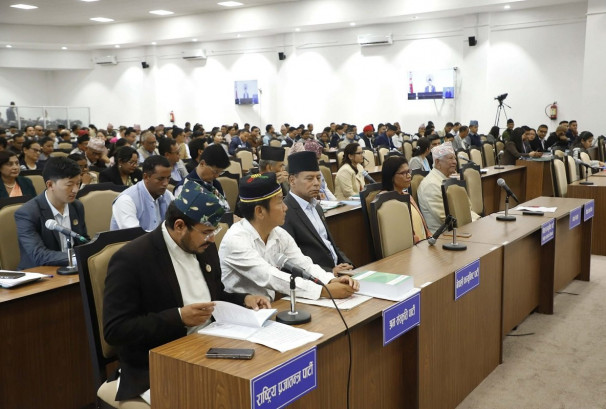 प्रतिनिधिसभाबाट राष्ट्रिय सेवा दल विधेयक पारित, अब राष्ट्रिय सभामा जाने