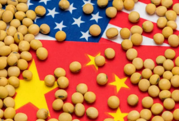 चीनले लगातार दुई महिना गरेन अमेरिकाबाट भटमास आयात, ब्राजिलबाट भने २९% ले बढ्यो