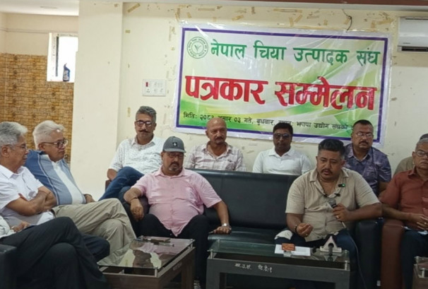 भारतीय नीतिको असरः इलामपछि झापाका चिया उद्योग पनि बन्द, निर्यात संकट गहिरिँदै