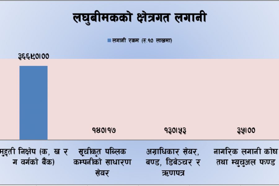 लघुबीमा कम्पनीहरुको चार क्षेत्रमा मात्रै लगानी, मुद्दती निक्षेपमा ९९.१७% रकम