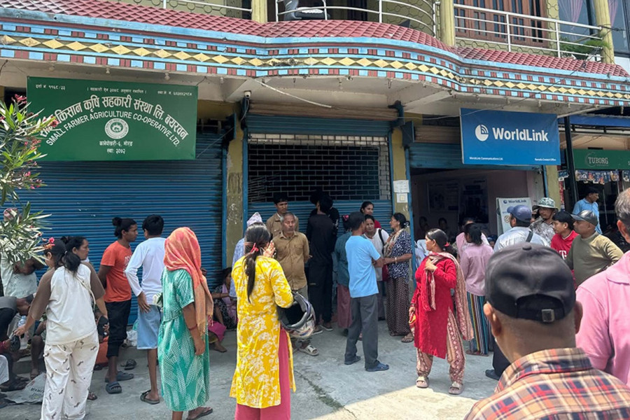 मल अभावले मकै खेती जोखिममा, दिनभर लाइन बस्दा पनि खाली हात फर्किनु परेको गुनासो