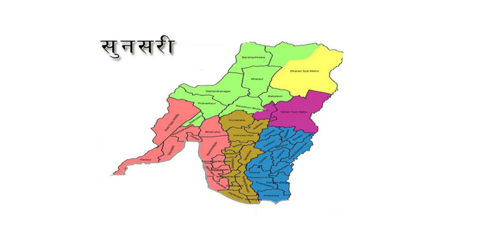 देवानगञ्जमा गोली प्रहारः युवतीसम्बन्धी विवाद कारण हुनसक्ने प्रहरीको आशंका, दुई पक्राउ