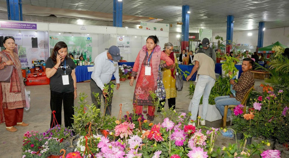 २६ औं फ्लोरा एक्स्पोको तेस्रो दिन ३० लाख बढीको कारोबार, १७ हजार बढीले गरे अवलोकन