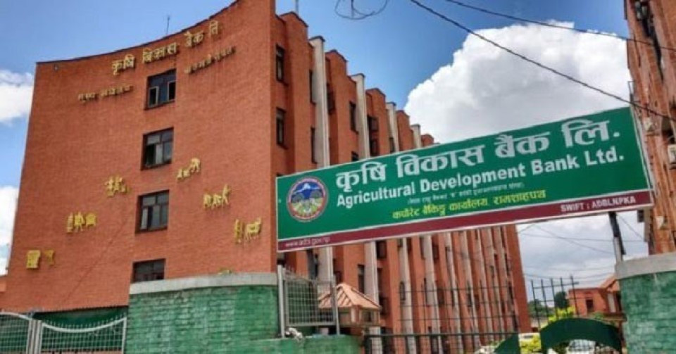 कृषि विकास बैंकको नाफामा २९% को संकुचन, लाभांश क्षमता समेत घट्यो