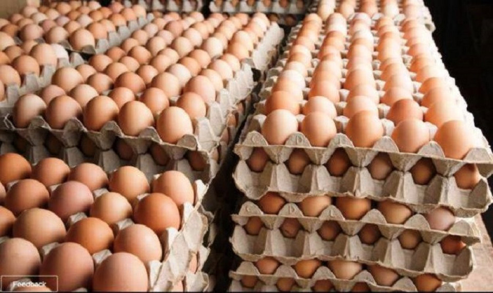 उत्पादनमा कमी आएसँगै बढ्यो अण्डाको मूल्य