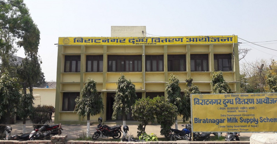 विराटनगर दुग्ध वितरण आयोजनामा दही–घ्यूको मागले आम्दानी बढायो, किसानको ९ करोड भुक्तानी भने अझै रोकियो