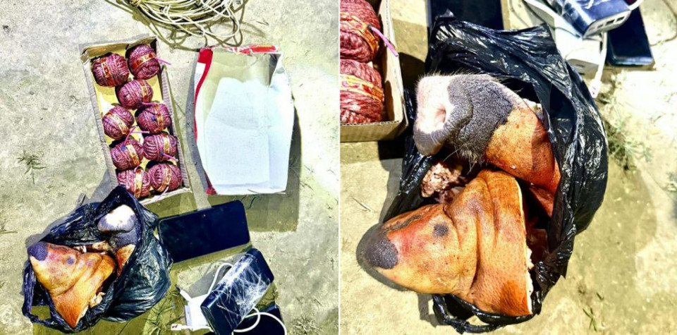 मस्जिद लक्षित उक्साहटको योजना फेल : प्रहरी अपरेशनमा बम र सुँगुरको टाउको बरामद