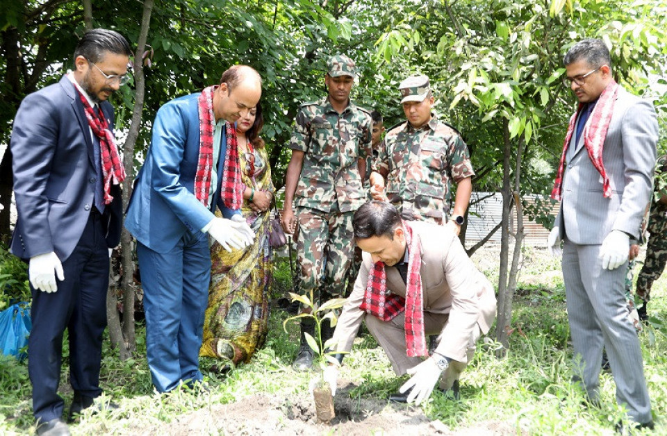 ग्लोबल आइएमई बैंकद्वारा देश व्यापीरुपमा वृहत् बृक्षारोपण कार्यक्रम आयोजना